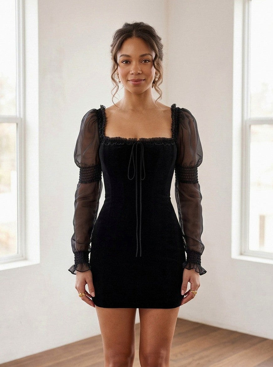 Velvet Square Neck Sheer Puff Sleeve Mini Dress
