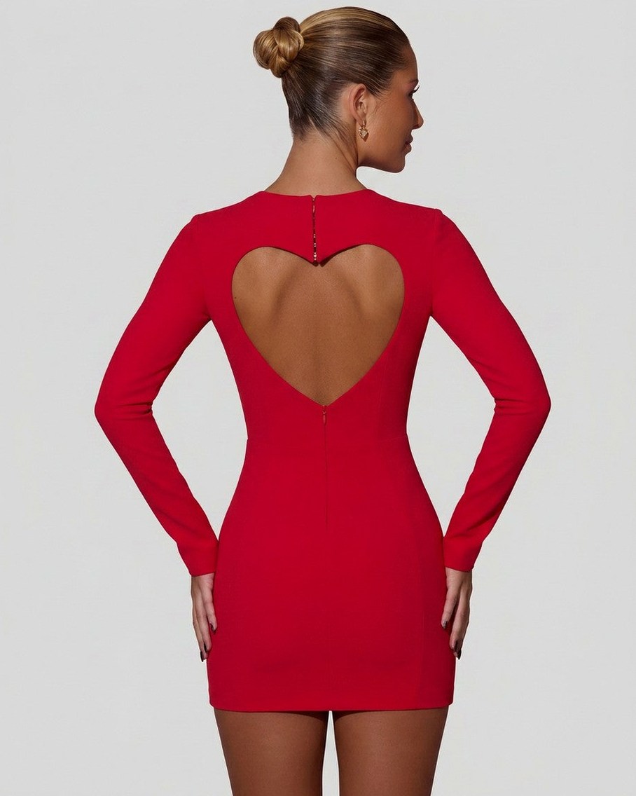 Bodycon Long Sleeve Mini Dress
