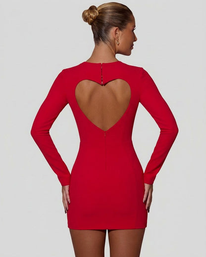 Bodycon Long Sleeve Mini Dress