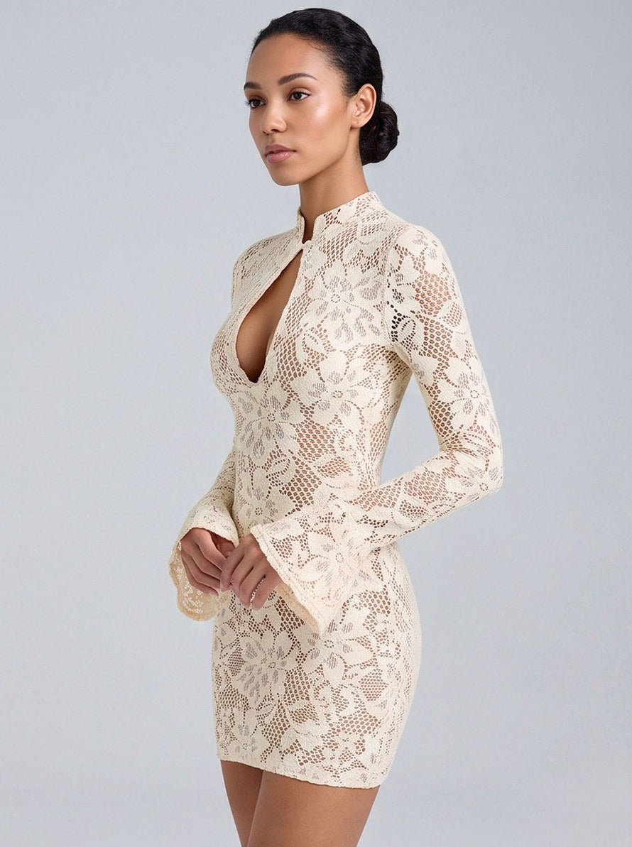 Lace Long Sleeve Mini Dress