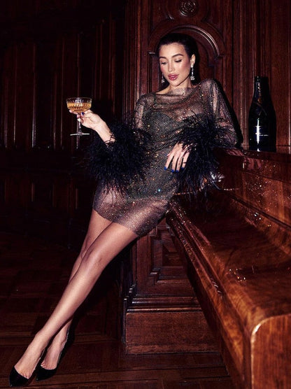 Mesh Feather Trim Long Sleeve Mini Dress