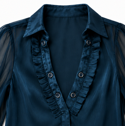 Velvet Sheer Long Sleeve Ruffle Blouse