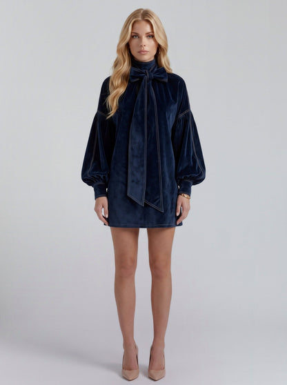 Velvet Long Sleeve Shift Mini Dress