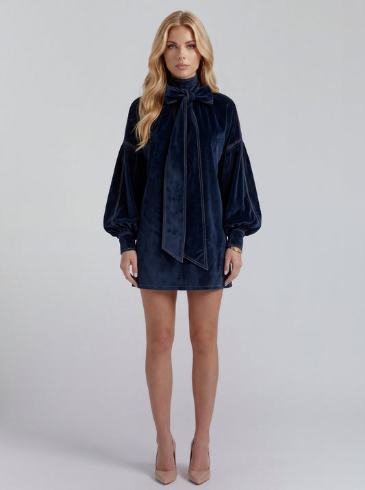 Velvet Long Sleeve Shift Mini Dress