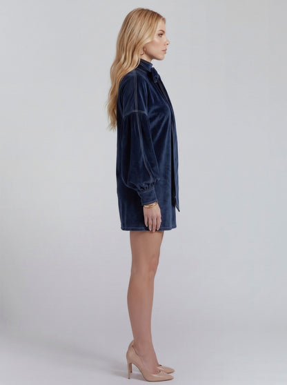 Velvet Long Sleeve Shift Mini Dress