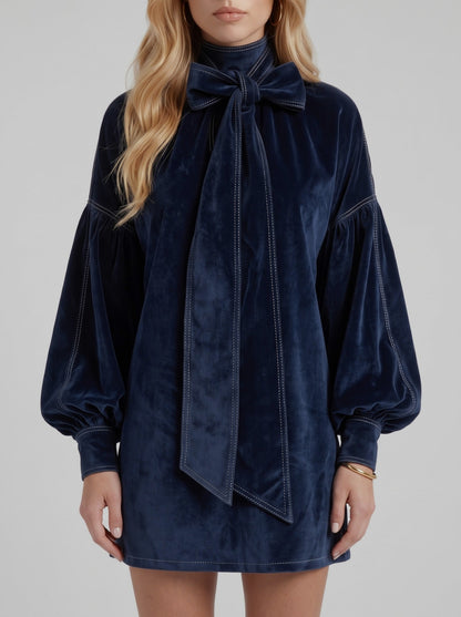 Velvet Long Sleeve Shift Mini Dress